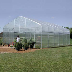 Majestic Single Greenhouses