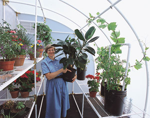 Solexx Harvester Greenhouse gives you a double tiered shelf on one side and a single-tiered shelf on the other side for taller plants.